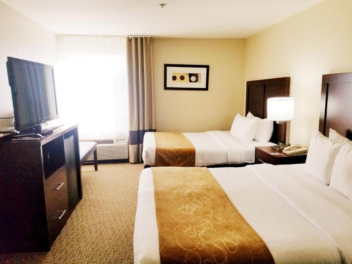 Comfort Suites Las Colinas Center Irving Exterior foto